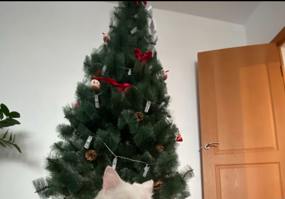 Продам ЁЛКУ с игрушками