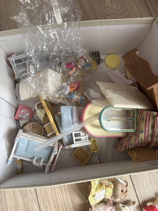 сильвание фемилис