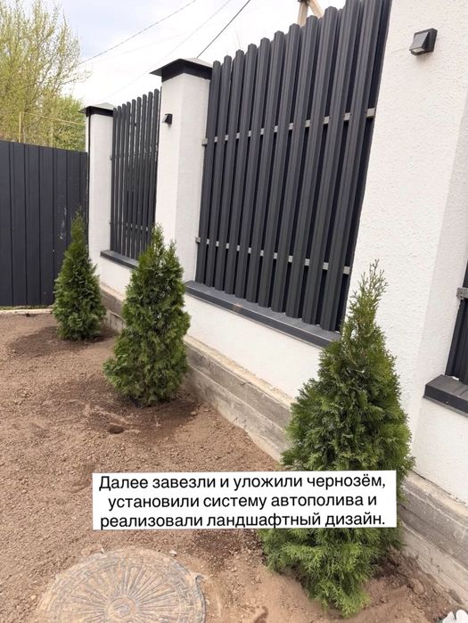 Рулонный газон под ключ