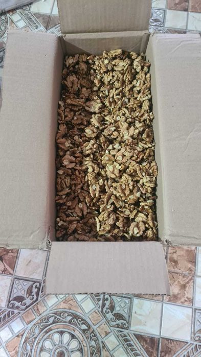 Miez de Nuca stoc permanent mixt jumătăți