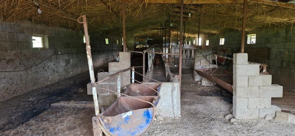 Фазенда аренда продажа