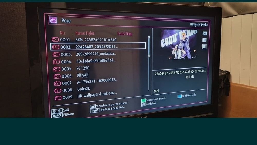 Monitor sau TV în funcție de utilizare