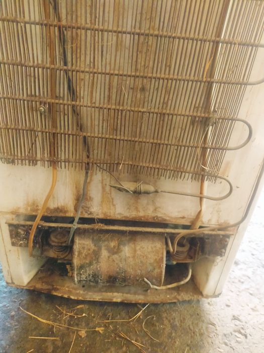 Холодильник Памир5