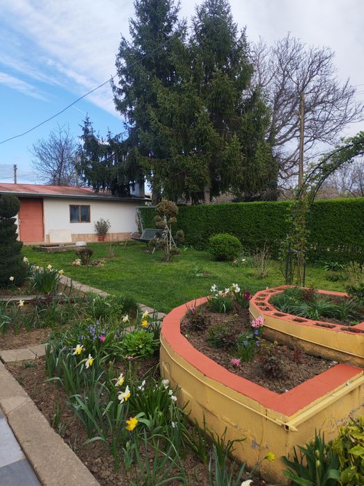 Продава се Къща в с. Ценович, Област Силистра - 150 кв.м за 299 €/кв.м - Снимка #20