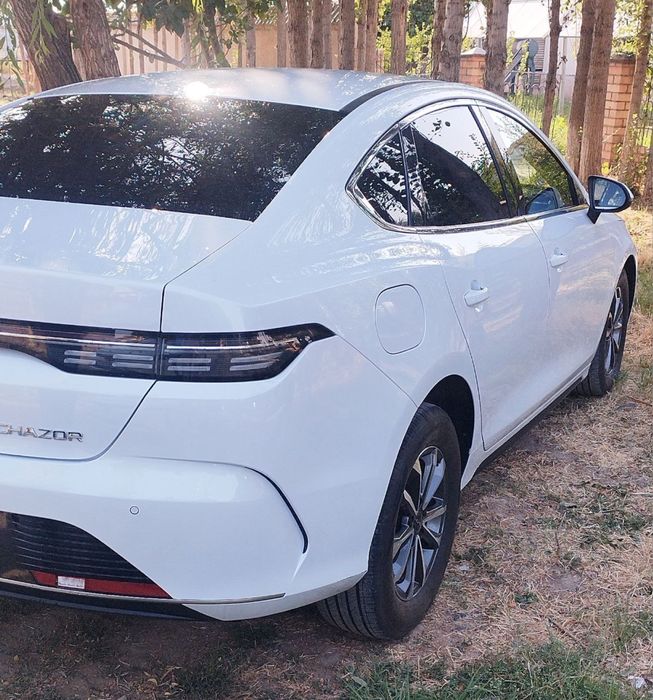 Chazor 1 позисия краска тоза