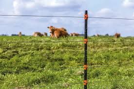 Электроизгородь, электропастух, Elektr to'sig'i, elektr cho'pon