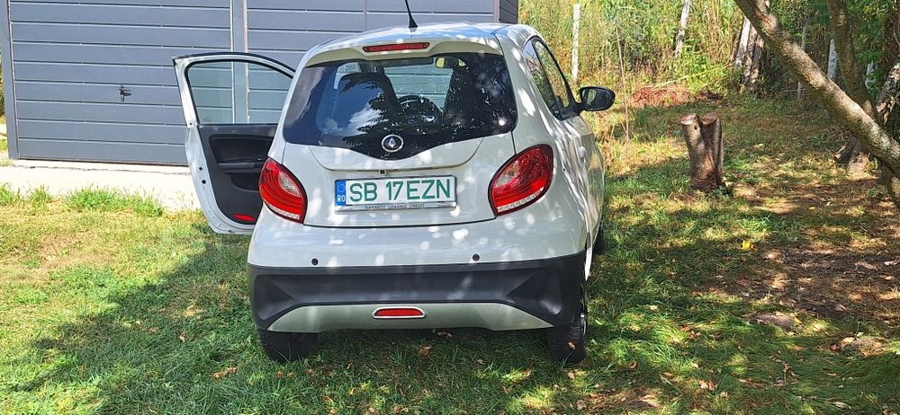 Auto Electric de vinzare