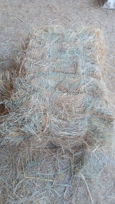 Сено разнотравье