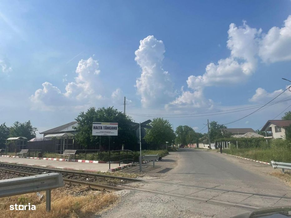 Vanzare teren intravilan Cernica_Tânganu, lot 954mp