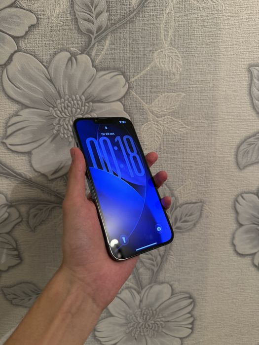 Iphone 13 pro max