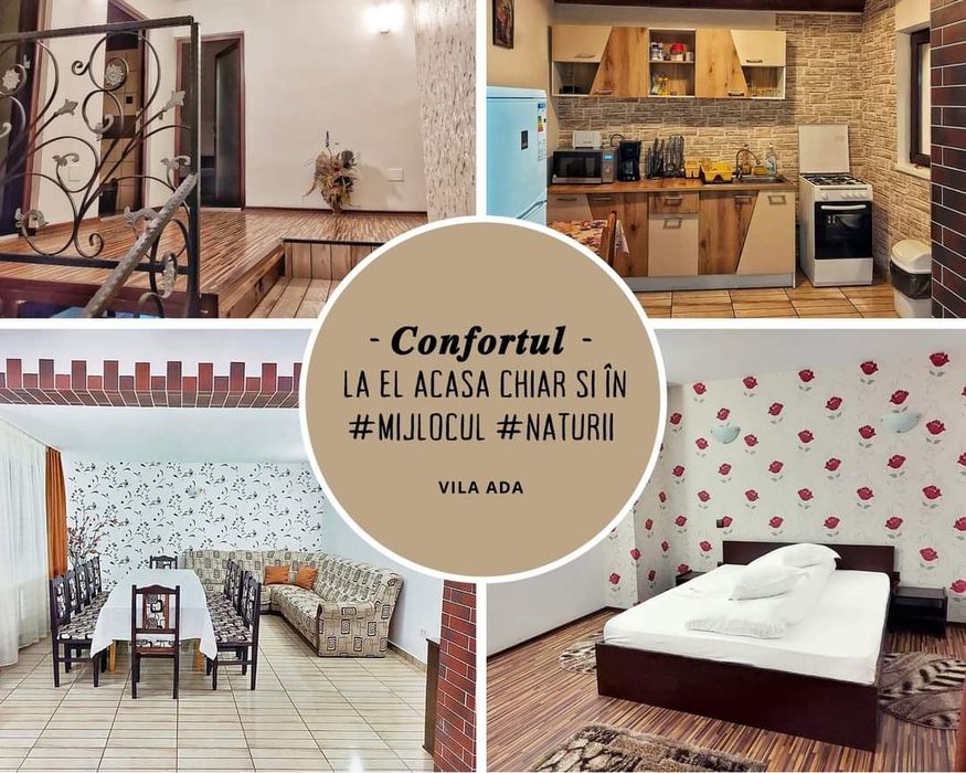 Vila Ada- Sat vacanță Dejani