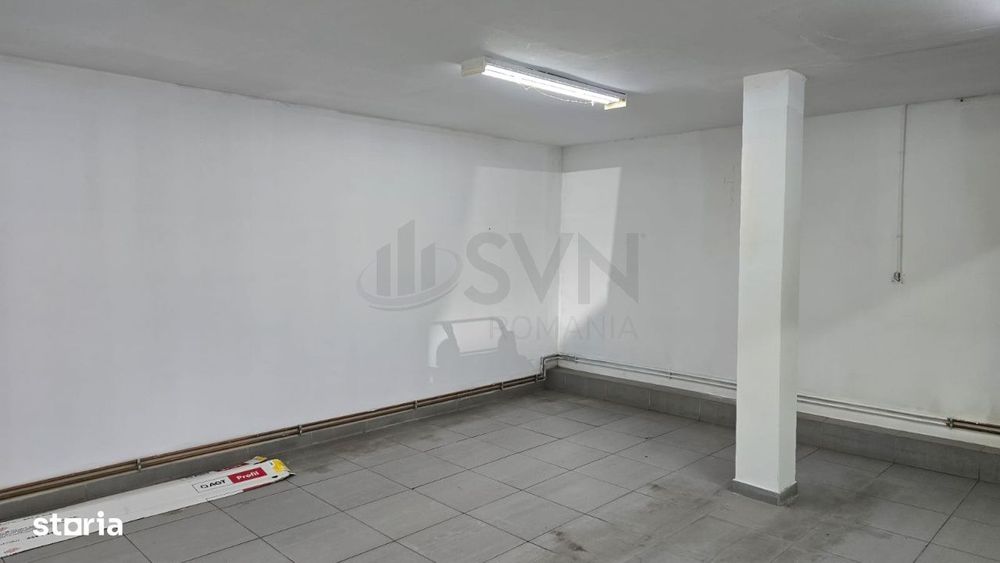 Spatiu comercial Ion Mihalache