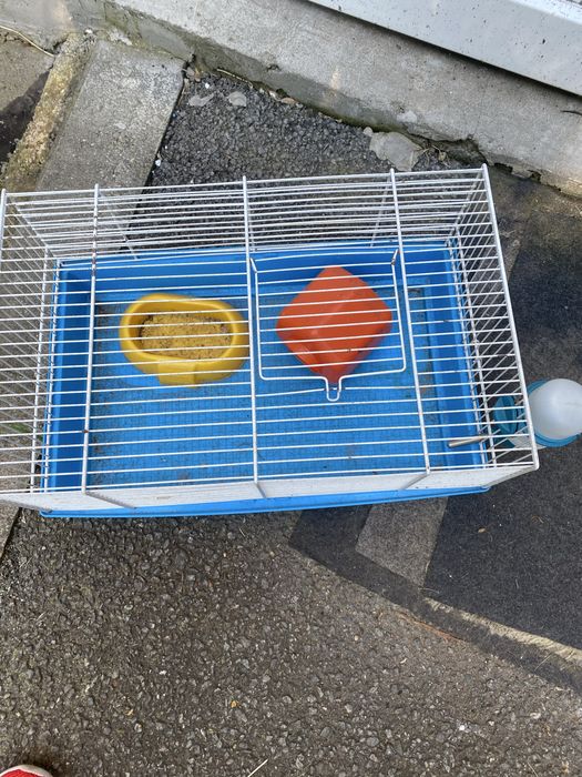 Cușcă hamster pitici