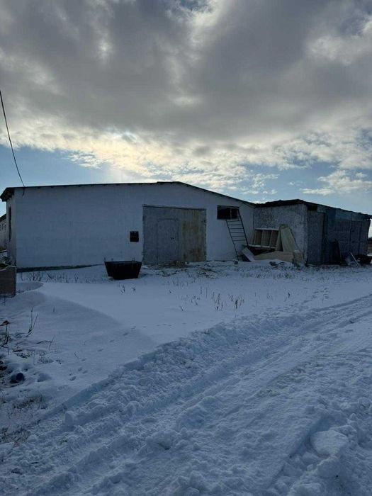 Сельское хозяйство продается ферма