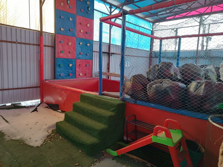 Продажа детских батутов или обмен на авто ,скот