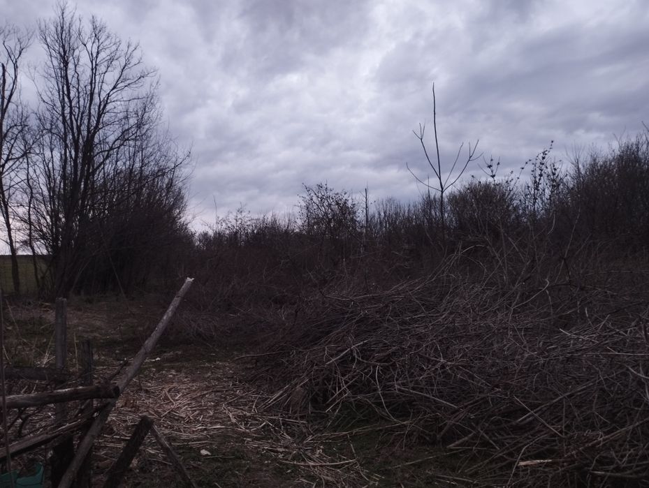 Продава се Парцел в Тръстеник - 2224 кв.м за 2 €/кв.м - Снимка #4