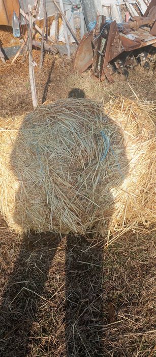 Vînd baloți dreptunghiulari