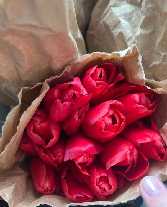 Тюльпаны опт ( крупные ) поставка 1/2 марта предзаказ