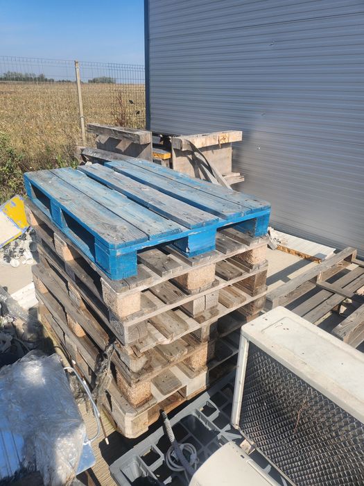 Paleti Euro si Non euro