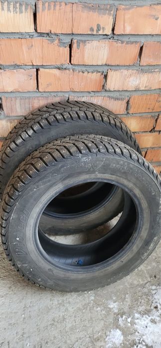 Қыстық  донгелек