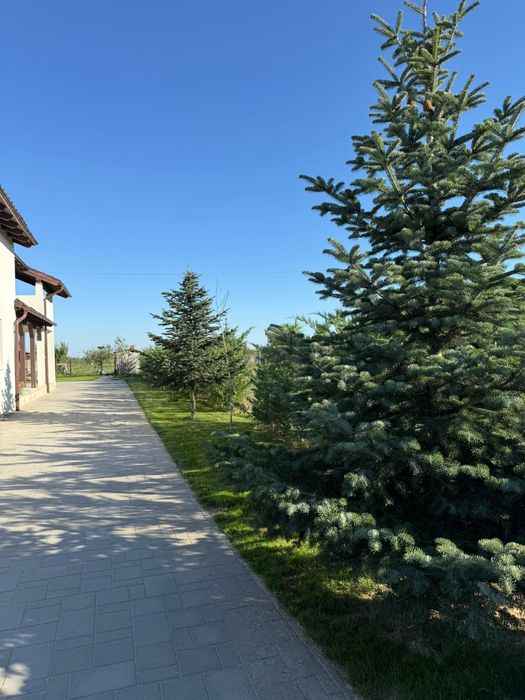 Casa noua + 36 ari teren, com. Paulesti