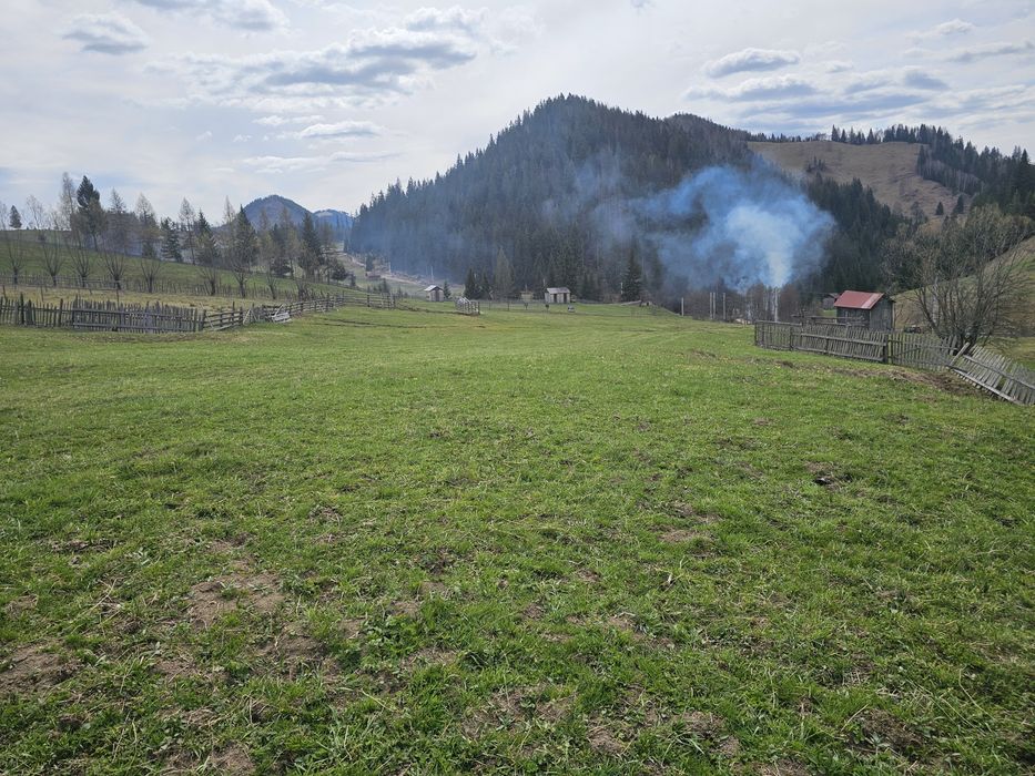 Teren de vanzare in Bucovina Fundu Moldovei
