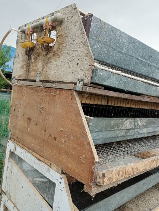 Клетка для перепелок