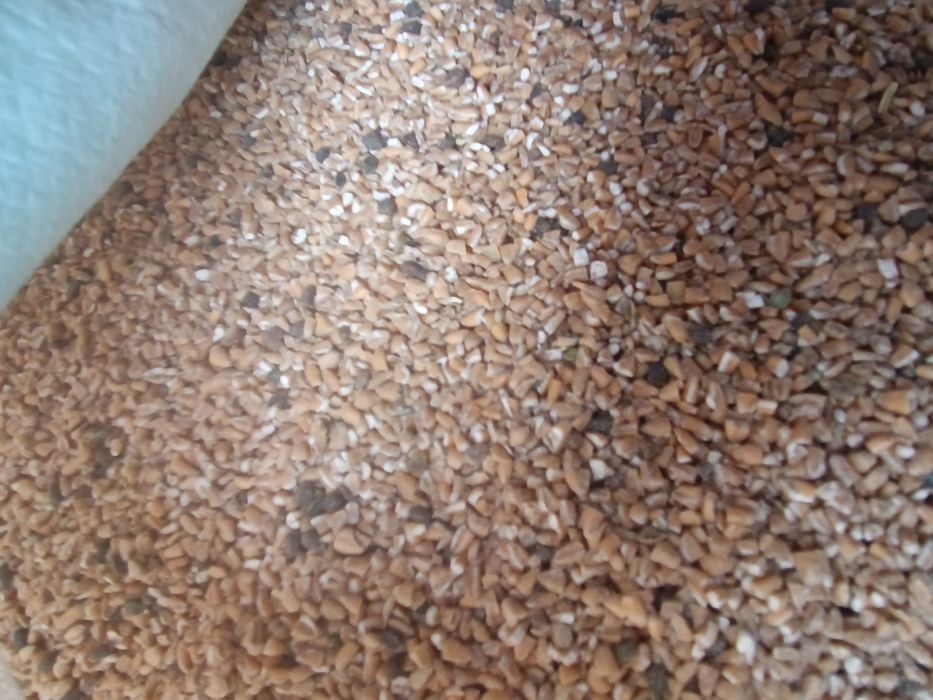 Продам пшеничные отходы