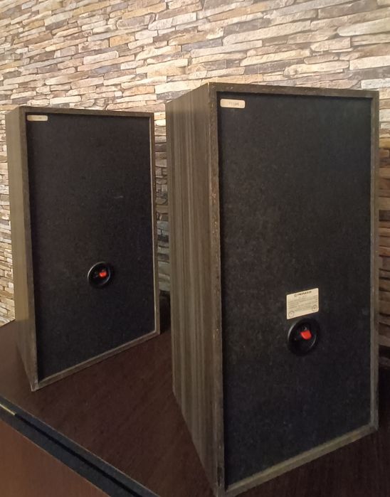 Boxe pioneer sj510