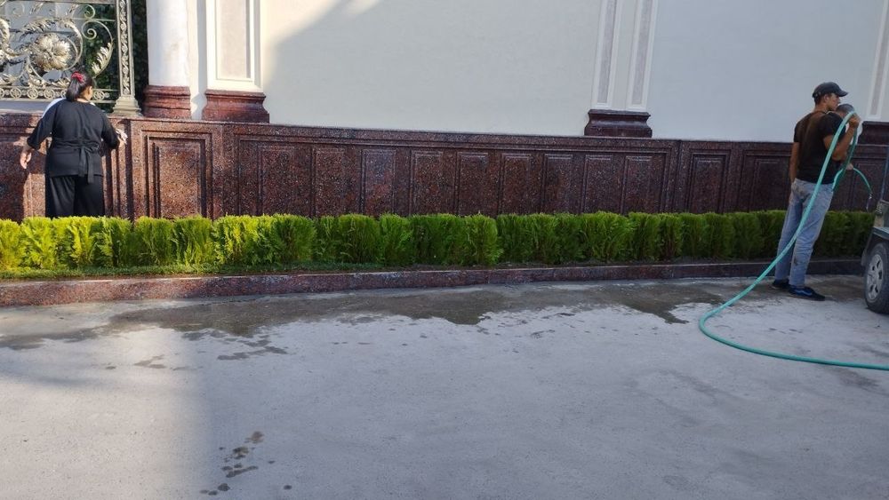 Газон экиш ва ландшафт хизматилари