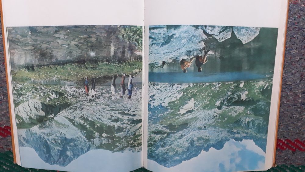 Carte Pădurea vinatul și turismul