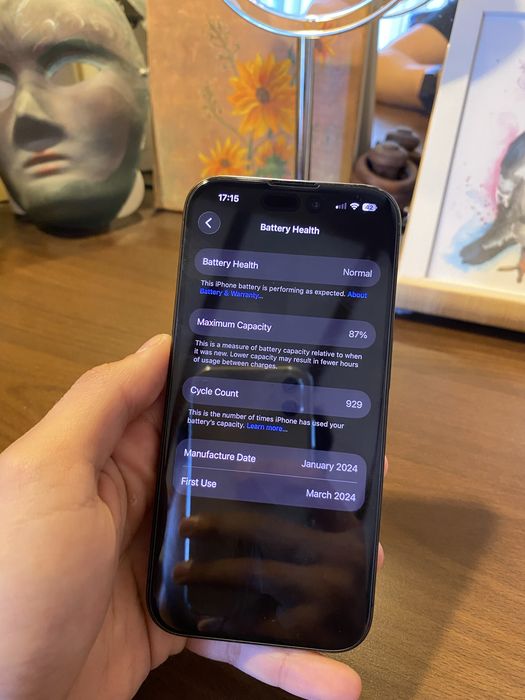 Iphone 15 Pro Black Titanium