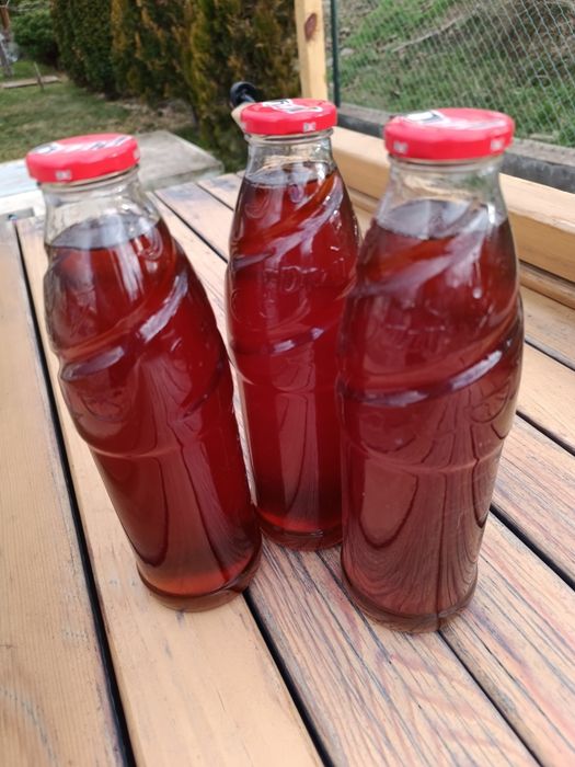 Домашен сироп от диви шипки с разреждане