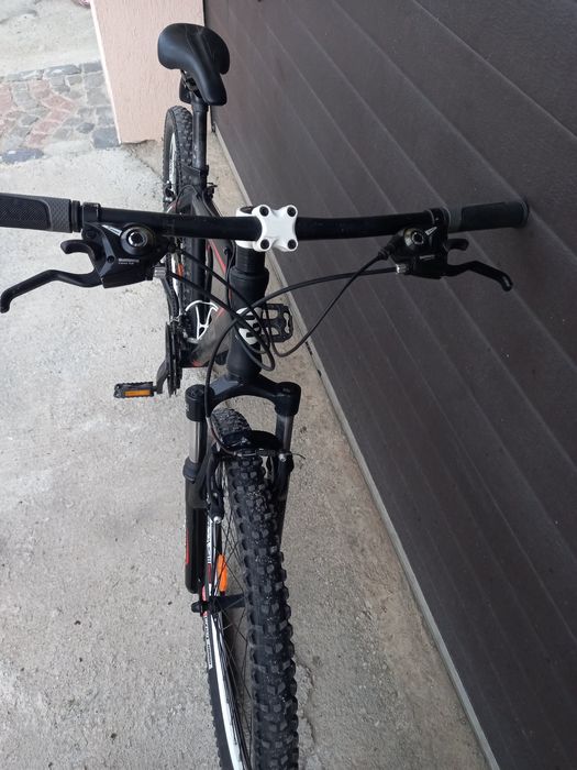 Mtb Focus Rookie Raven