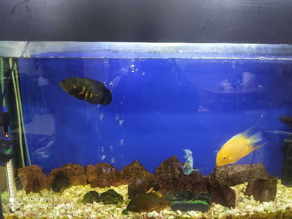 Продается аквариум 180 литров в полном комплекте