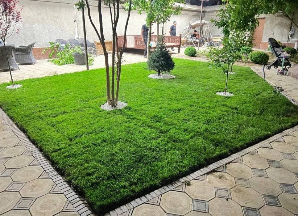 Gazon ekish tayyor ruloniviy.Urug'am bor 17000