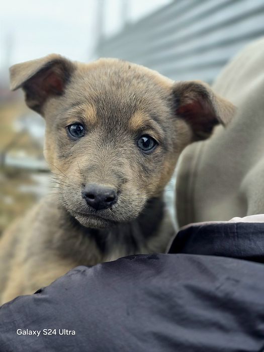 Замечательный пацан