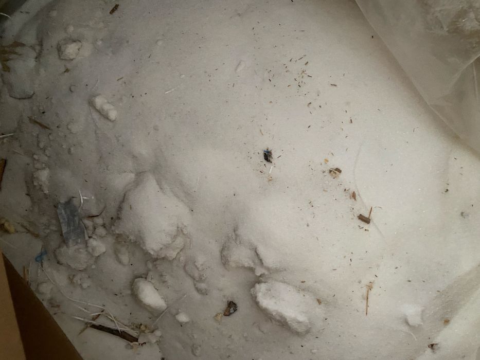 Продам сахар смётки с пола