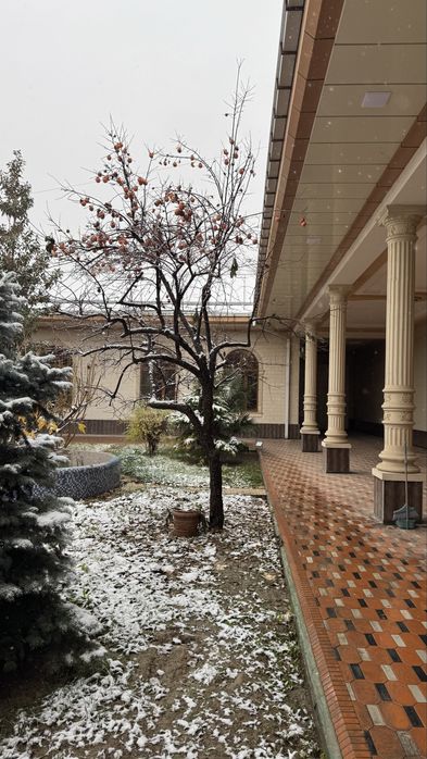 Дом 9,5 соток. Можно под бизнес!