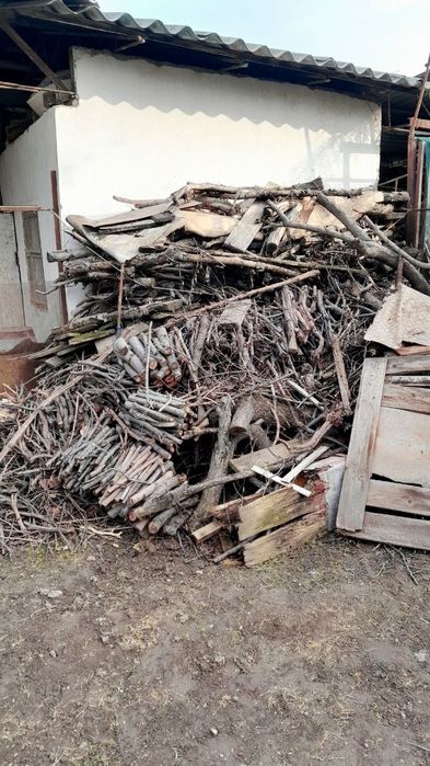 Продаются дрова от деревьев