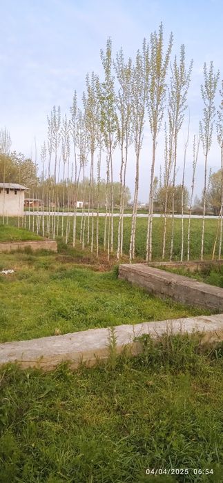 Ер учаска  сотилади 9500 $