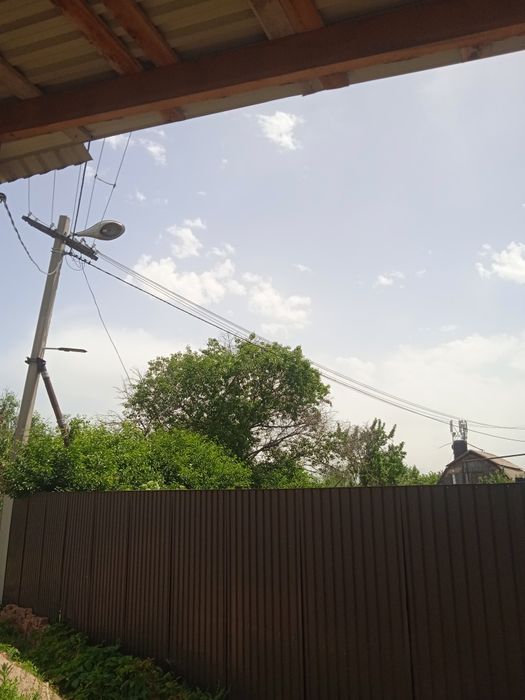 Отдам деревья на дрова