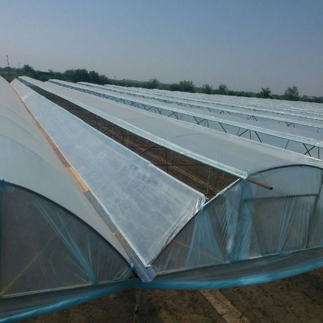 Том  ва навеслар иссихона хизмати