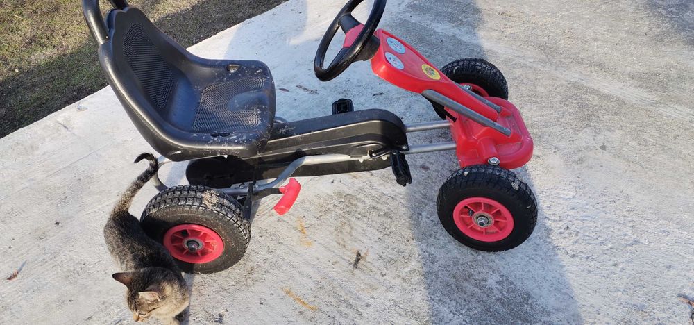 Kart cu pedale pentru copiii