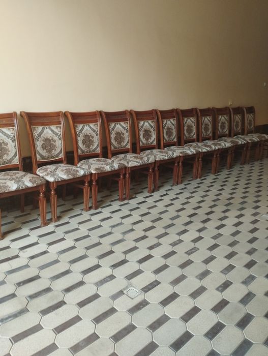 Prokat Stul Naves Shirma 24/7 prokatga beramiz Dastavka bor
