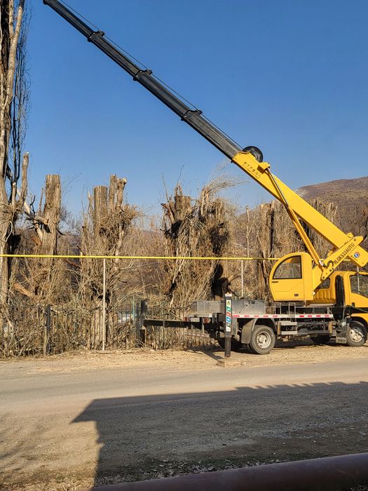 Агаш кесемиз спил деревьев