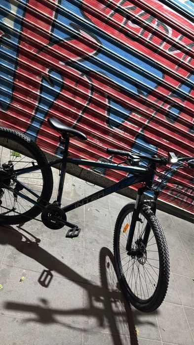 Interbike lion 29