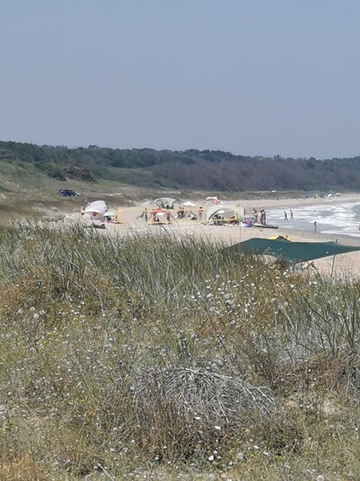 Продава се Земеделски имот в Добрич, Пинета -  кв.м за 30000 €/дка - Снимка #4