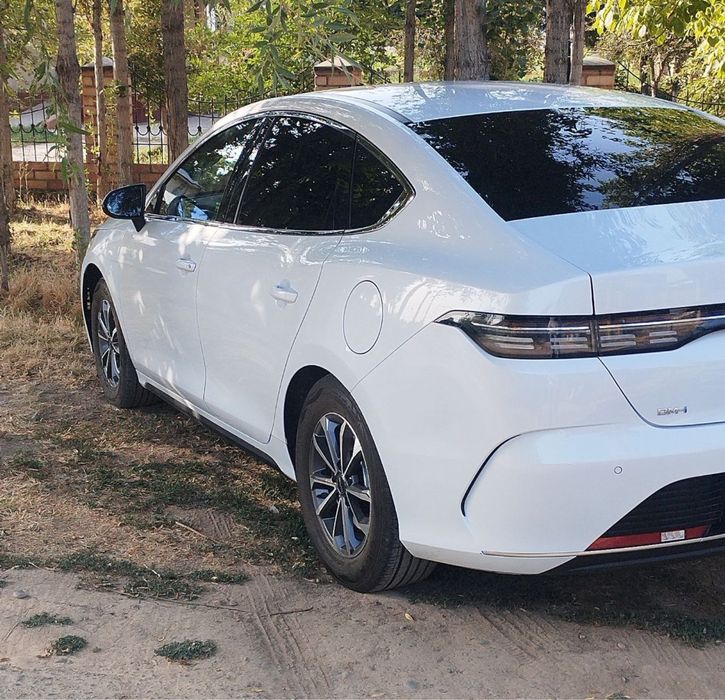 Chazor 1 позисия краска тоза