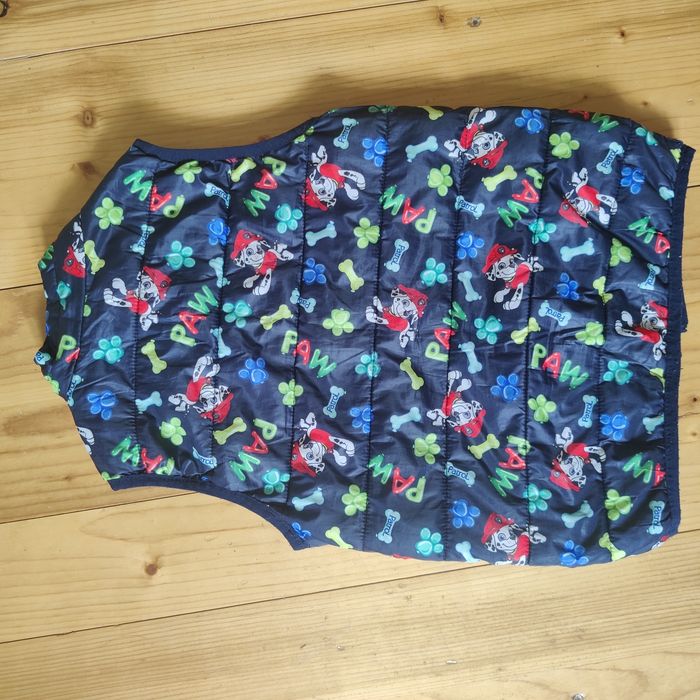 Vesta Paw Patrol